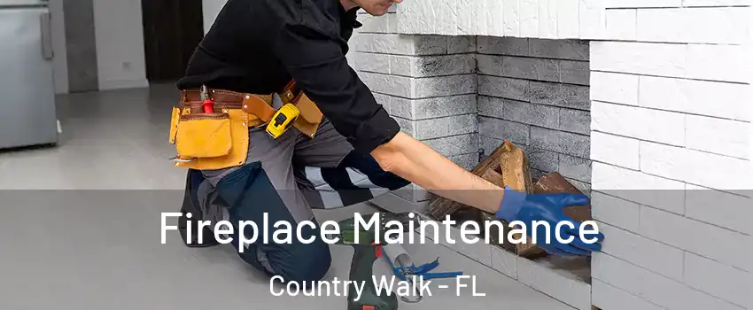  Fireplace Maintenance Country Walk - FL