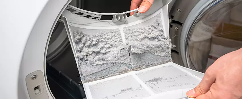 Best Dryer Lint Removal Company in Country Walk, Florida